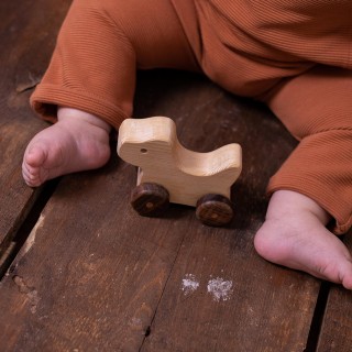 Natural Wooden Dog Car