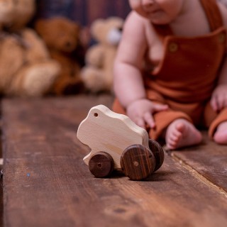 Natural Wooden Frog Car