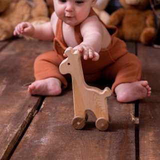 Natural Wooden Giraffe Car