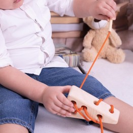 Montessori Kids Wooden Cheese Toys