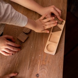 Geometric Shapes - Natural Wooden Educational Blocks
