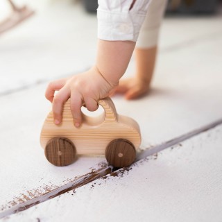 Natural Wooden Turtle Car