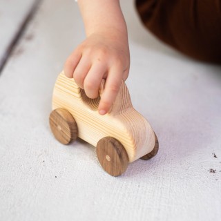 Natural Wooden Turtle Car