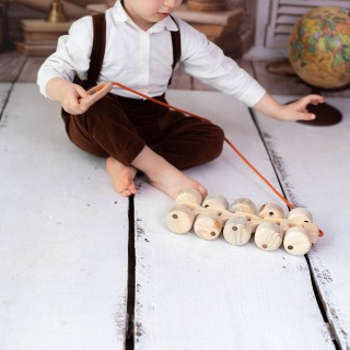 Natural Wooden Caterpillar Toy with 10 Wheels