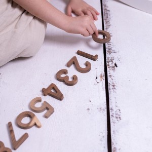 Natural Wooden Number Set  (0-9) - "Walnut"