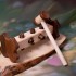 Wooden Plug and Play Toy - From Walnut Tree