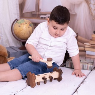 Wooden Plug and Play Toy - From Walnut Tree